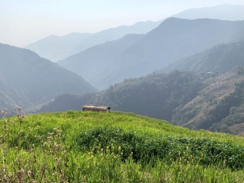Arun Valley Trek